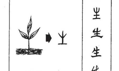 碳酸钙d3片正确吃法-碳酸钙d3副作用吗网 :分享碳酸钙d3片的作用与功效和副作用-碳酸钙d3咀嚼片补钙效果怎么样知识